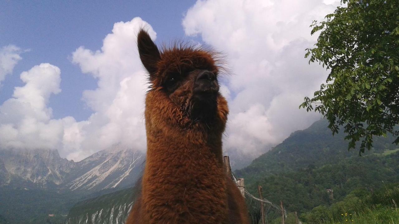 Ferienhaus Casa Da 2 A 7 Posti Nelle Piccole Dolomiti *