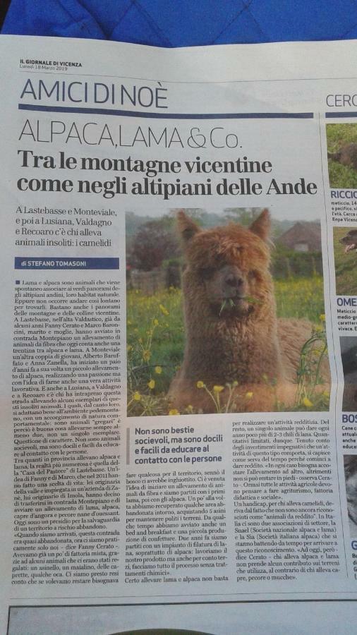 Casa Da 2 A 7 Posti Nelle Piccole Dolomiti