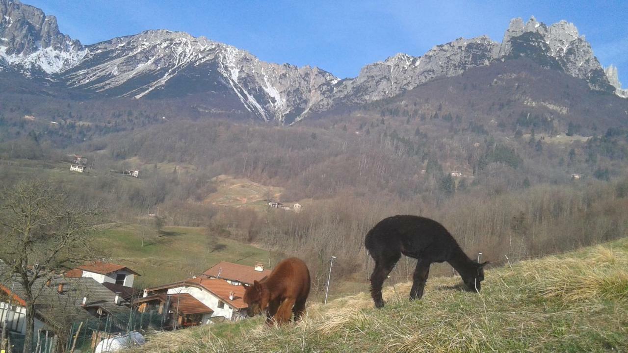 Holiday home Casa Da 2 A 7 Posti Nelle Piccole Dolomiti *