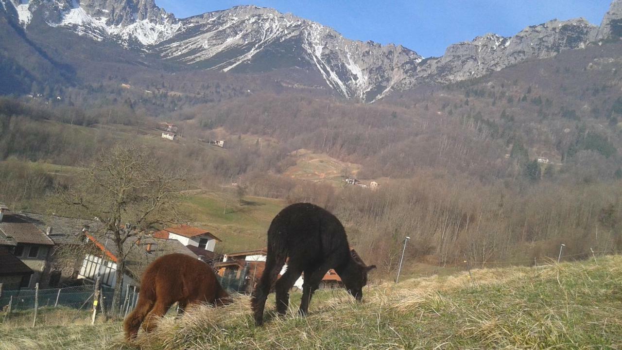 Hébergement de vacances Casa Da 2 A 7 Posti Nelle Piccole Dolomiti *